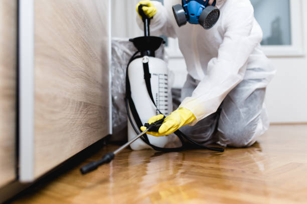 Best Exterminator Services  in Ansted, WV