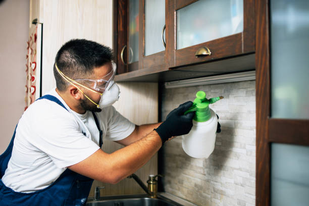 Best Wildlife Control Services  in Ansted, WV