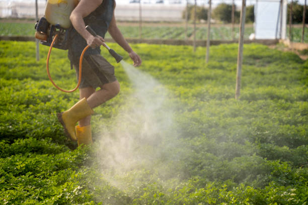 Best Best Pest Control Companies  in Ansted, WV